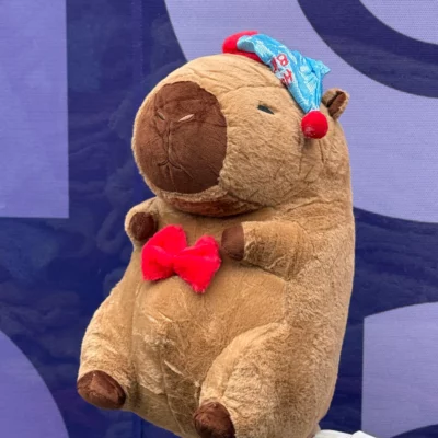 Peluche capibara c/ manta