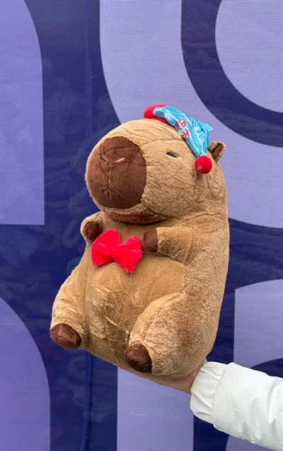 Peluche capibara c/ manta