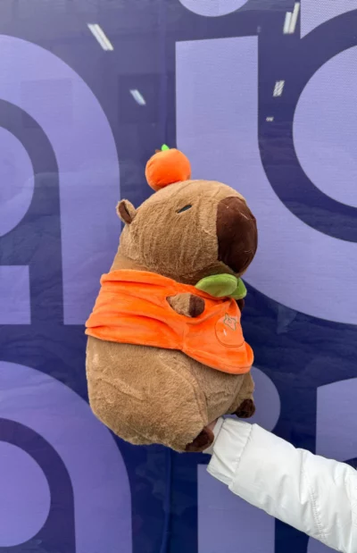 Peluche capibara c/ manta - Image 2