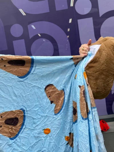 Peluche capibara c/ manta - Image 3