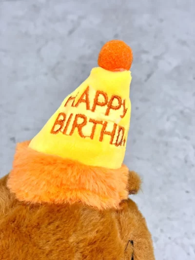 Peluche capibara Happy Birthday - Image 4