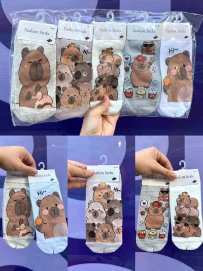 Medias capibara x10 - Image 4
