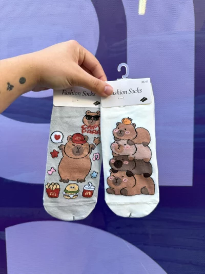 Medias capibara x10 - Image 3