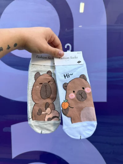 Medias capibara x10