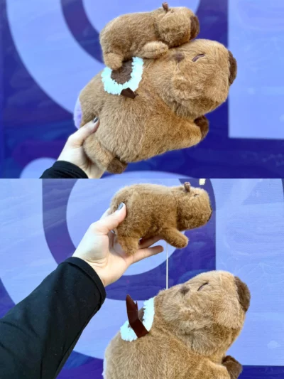 Peluche capibara sensorial - Image 4