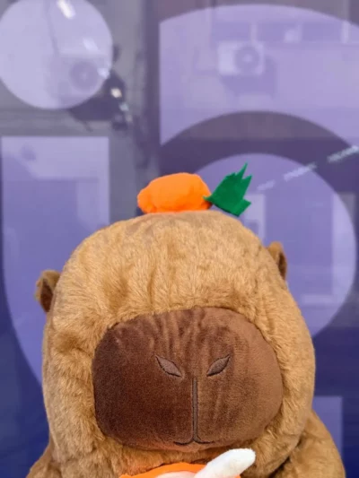 Peluche capibara con manta - Image 2