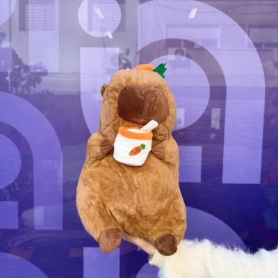 Peluche capibara con manta