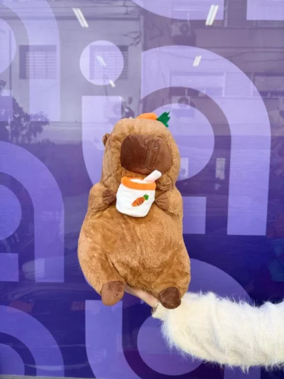 Peluche capibara con manta