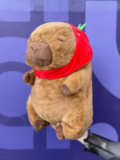 Peluche Capibara Con Manta
