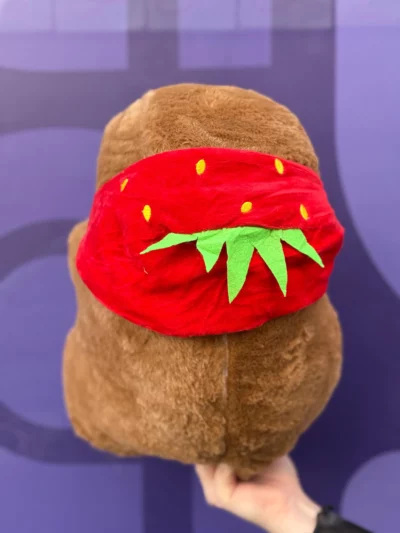 Peluche Capibara Con Manta - Image 6
