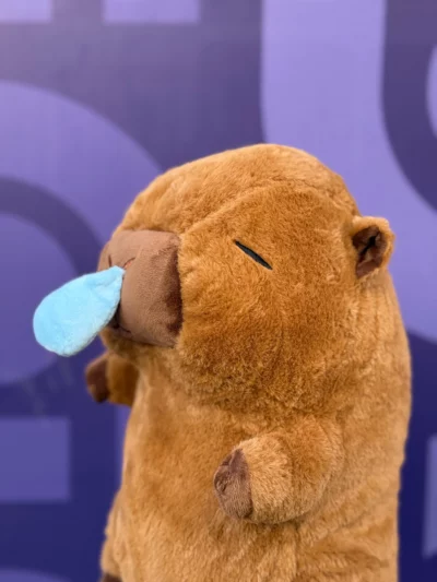 Peluche Capibara Con Manta - Image 2