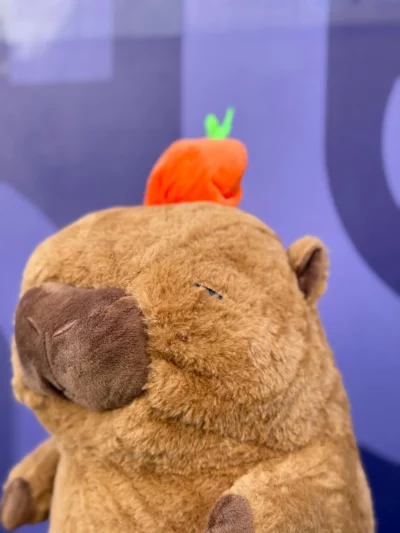 Peluche Capibara Con Manta - Image 7