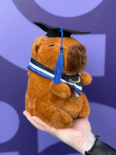 Peluche capibara pequeño - Image 5