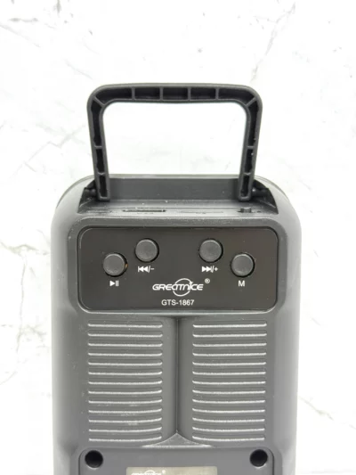 Parlante GREATNICE luz RGB GTS-1867 - Image 5