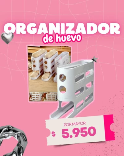 OFERTA ORGANIZADOR DE HUEVO
